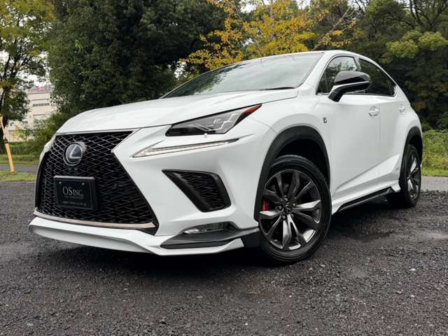 レクサス ＮＸ３００ｈ Ｆスポーツ R1年 () 99