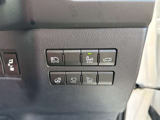 レクサス ＮＸ３００ｈ バージョンＬ R2年 () 99