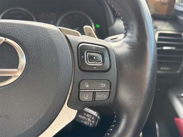レクサス ＮＸ３００ｈ バージョンＬ R2年 () 99