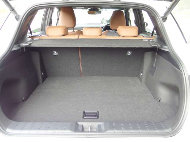 レクサス ＬＢＸ リラックス R8年 (東海) 99