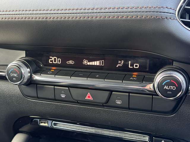 マツダ ＭＡＺＤＡ３　ファストバック ２．０ ２０Ｓ プロアクティブ R2年 () 99