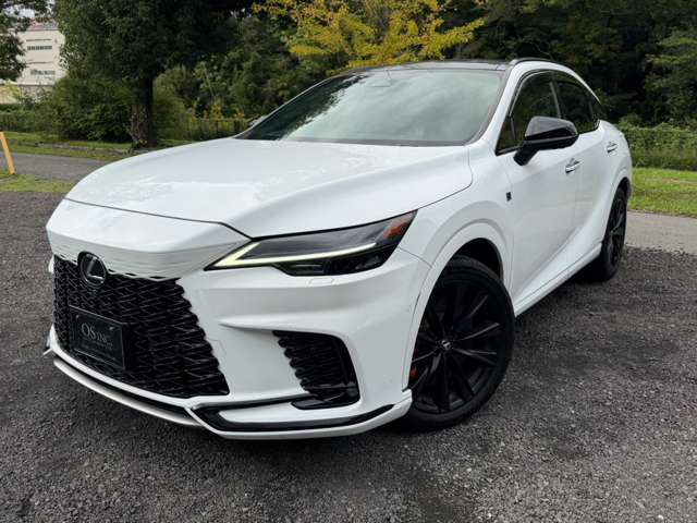 レクサス ＲＸ５００ｈ ５００Ｈ Ｆスポーツ パフォーマンス ４ＷＤ R5年 (近畿) 99