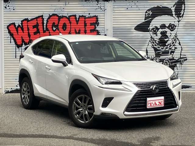 レクサス ＮＸ３００ バージョンＬ R2年 (近畿) 99