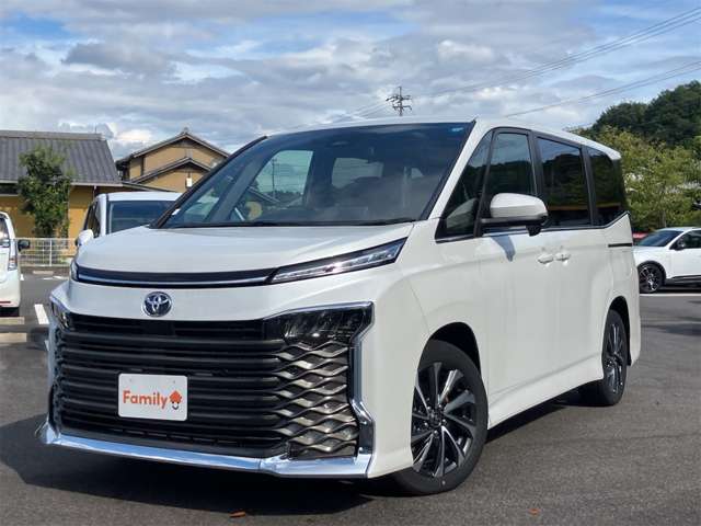 トヨタ ヴォクシー ２．０ Ｓ－Ｚ R8年 (東海) 99