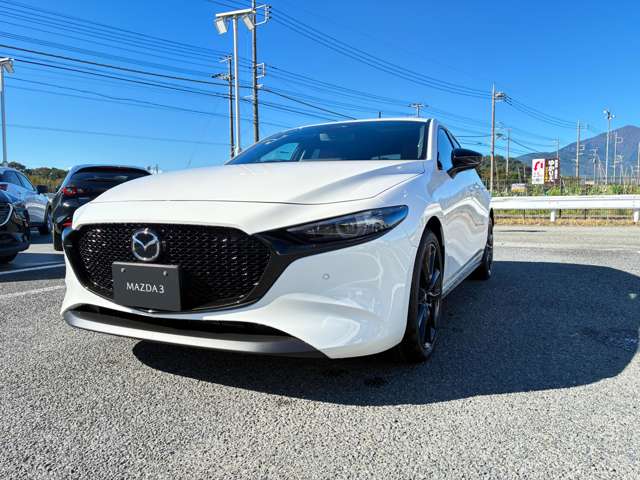 マツダ ＭＡＺＤＡ３　ファストバック ２．０ ２０Ｓ レトロスポーツエディション R8年 (関東) 99