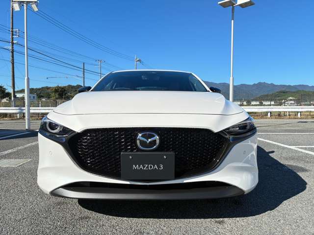 マツダ ＭＡＺＤＡ３　ファストバック ２．０ ２０Ｓ レトロスポーツエディション R8年 (関東) 99