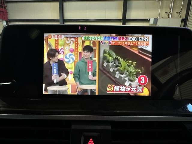 ＢＭＷ Ｘ３ Ｘドライブ２０Ｄ Ｍスポーツ ディーゼルターボ ４ＷＤ H30年 (関東) 99