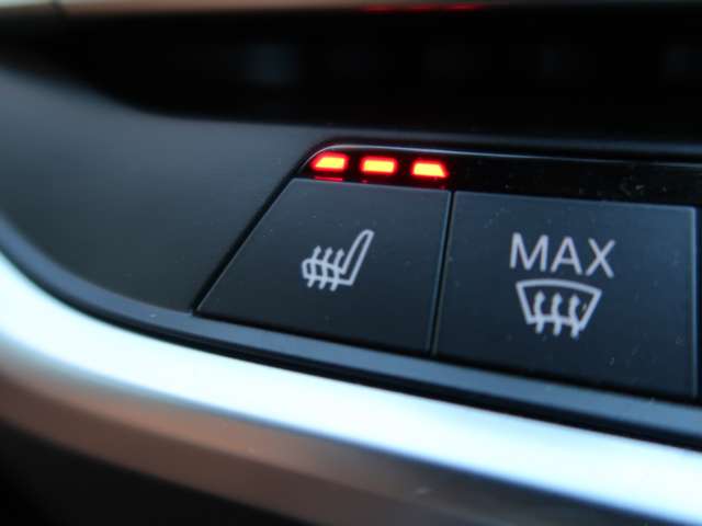 ＢＭＷ Ｘ５ Ｘドライブ ３５Ｄ ４ＷＤ R3年 () 99