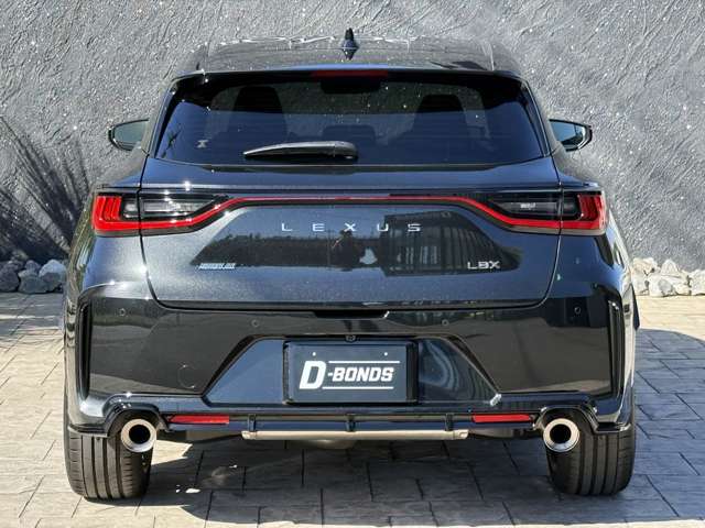 レクサス ＬＢＸ モリゾウ ＲＲ ４ＷＤ R7年 (関東) 99