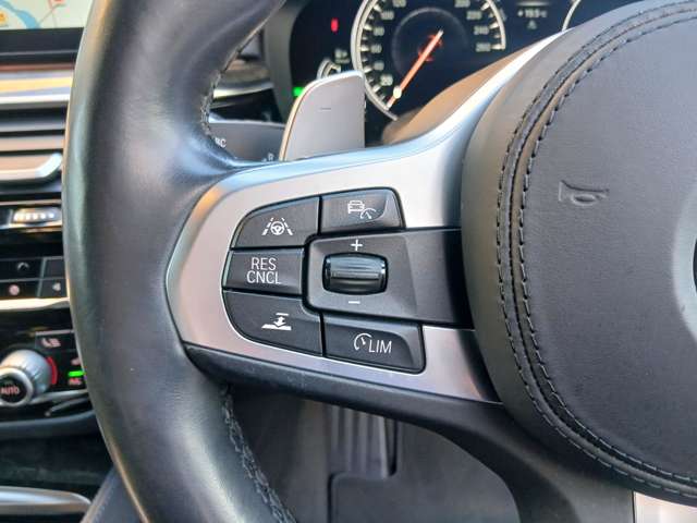 ＢＭＷ ５シリーズ ５２３Ｄ Ｍスポーツ ディーゼルターボ H30年 (近畿) 99