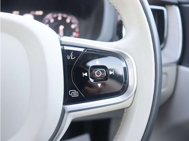 ボルボ ＸＣ６０ Ｔ５ ＡＷＤ インスクリプション ４ＷＤ H29年 (東海) 99
