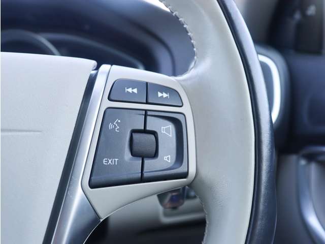 ボルボ Ｖ４０クロスカントリー Ｔ５ ＡＷＤ モメンタム ４ＷＤ H28年 (東海) 99