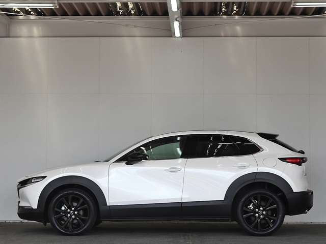 マツダ ＣＸ−３０ ２．０ ２０Ｓ ブラックトーンエディション R5年 () 99