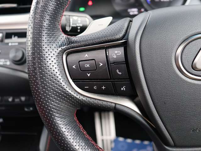レクサス ＥＳ３００ｈ Ｆスポーツ R1年 (関東) 99