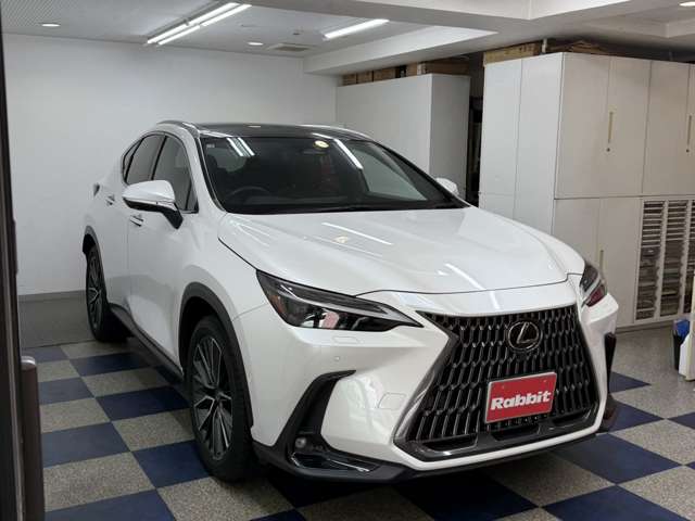 レクサス ＮＸ３５０ｈ ３５０Ｈ バージョンＬ ４ＷＤ R5年 (関東) 99