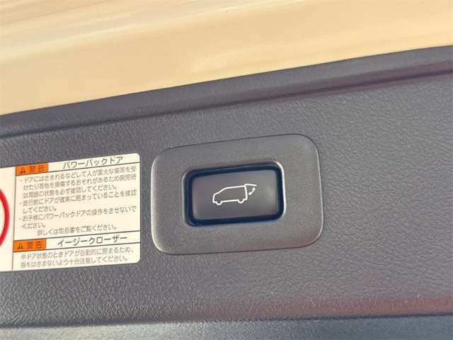 トヨタ アルファード ２．５ Ｓ タイプゴールド R2年 () 99