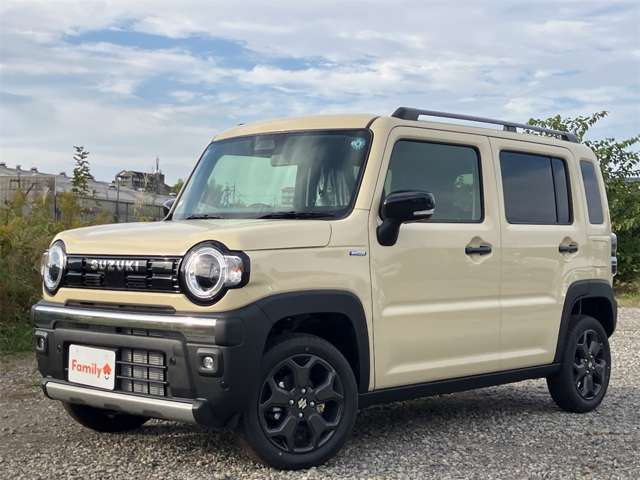 スズキ ハスラー ６６０ タフワイルド R8年 (東海) 99