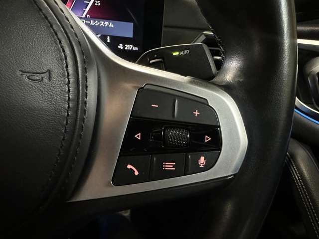 ＢＭＷ ｉ４ Ｅドライブ４０ Ｍスポーツ R5年 () 99