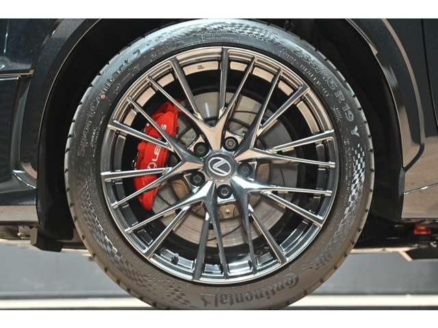 レクサス ＬＢＸ モリゾウ ＲＲ ４ＷＤ R7年 (関東) 99