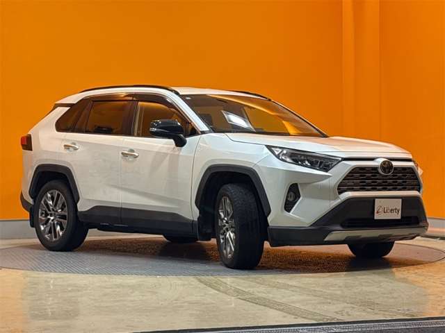トヨタ ＲＡＶ４ ２．０ Ｇ Ｚパッケージ ４ＷＤ R1年 () 99