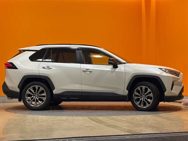 トヨタ ＲＡＶ４ ２．０ Ｇ Ｚパッケージ ４ＷＤ R1年 () 99
