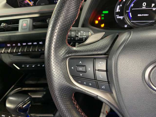 レクサス ＵＸ２５０ｈ ２５０Ｈ R4年 () 99